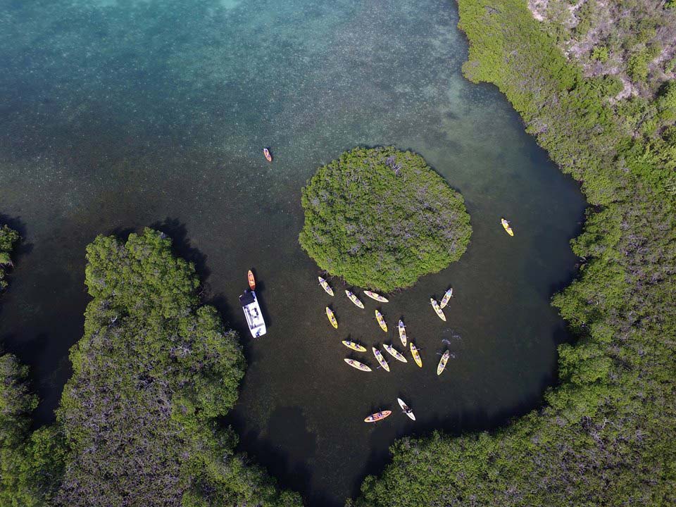 Antigua Paddles aerial in the narrows
