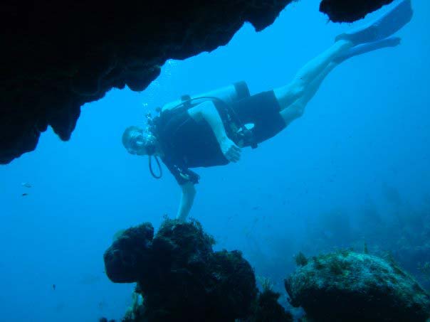 Indigo Divers under water