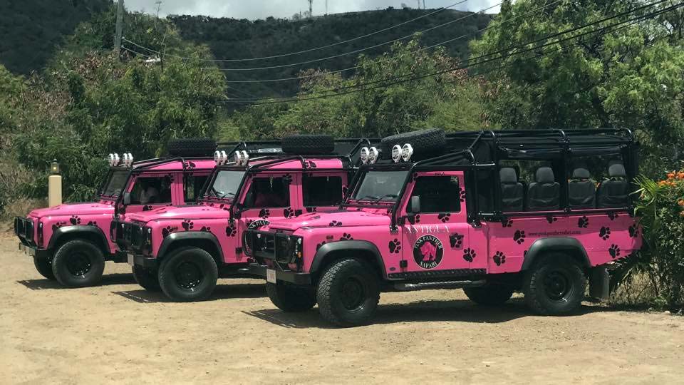 Pink Panther Safari vehicles