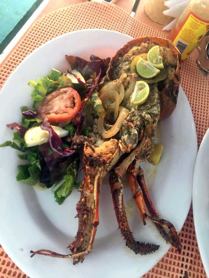 Sandra's lobster