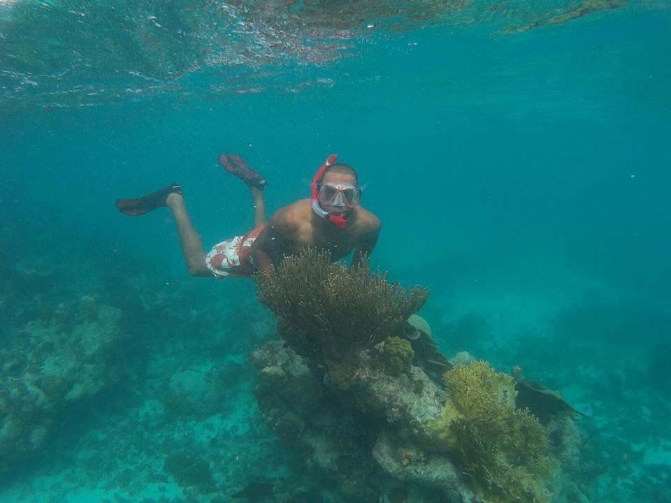 Undersea Odyssey snorkeling